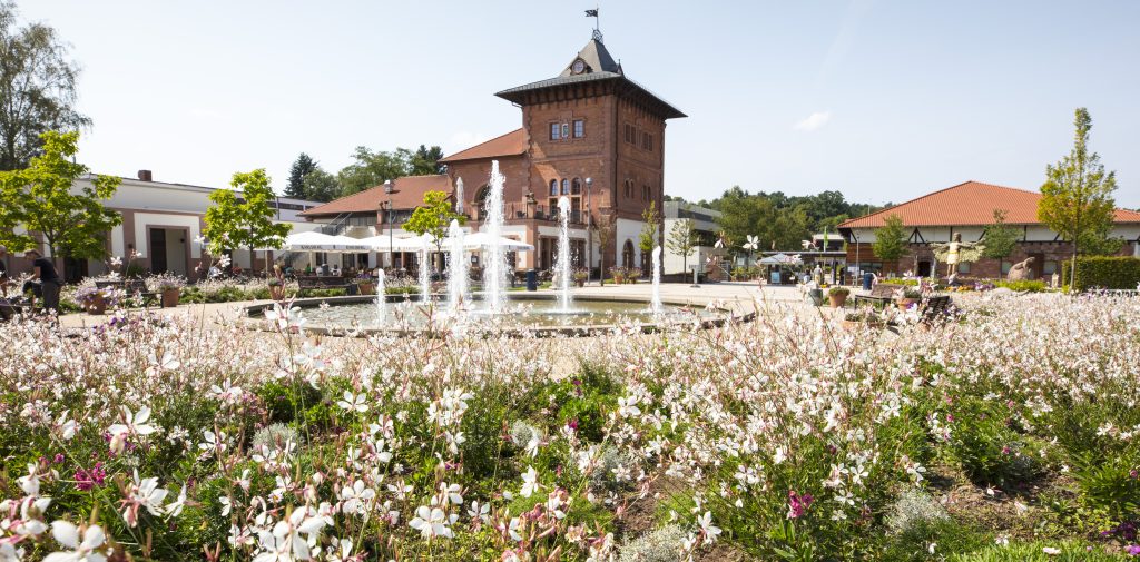 mit ganzer Energie Titelheft