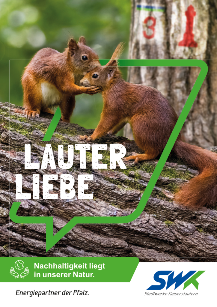 mit ganzer Energie Titelheft